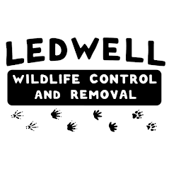 Ledwell Wildlife Control